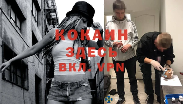 сатива Надым
