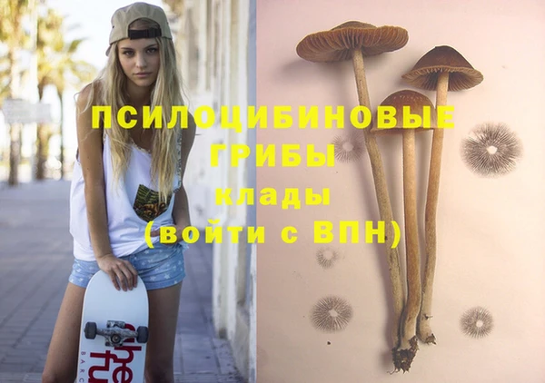 ГАЛЛЮЦИНОГЕННЫЕ ГРИБЫ Баксан