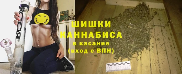 ГАЛЛЮЦИНОГЕННЫЕ ГРИБЫ Баксан