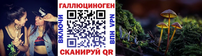 Галлюциногенные грибы Psilocybine cubensis  Афипский 